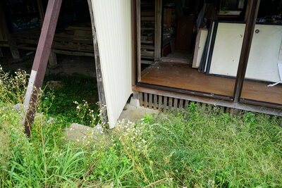 dsc00729_h.jpg