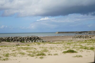 dsc00805_h.jpg