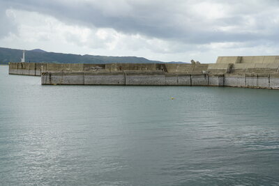 dsc00818_h.jpg