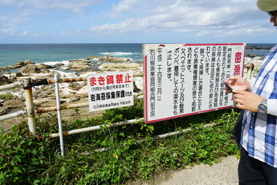 dsc00833_h.jpg