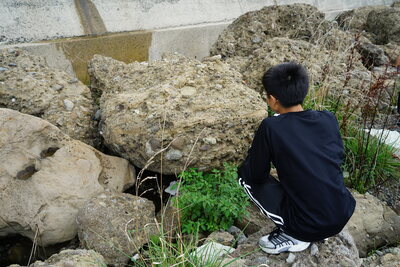 dsc00836_h.jpg