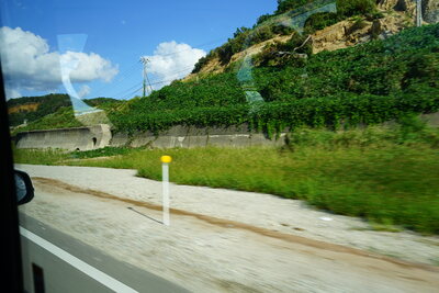 dsc00968_h.jpg