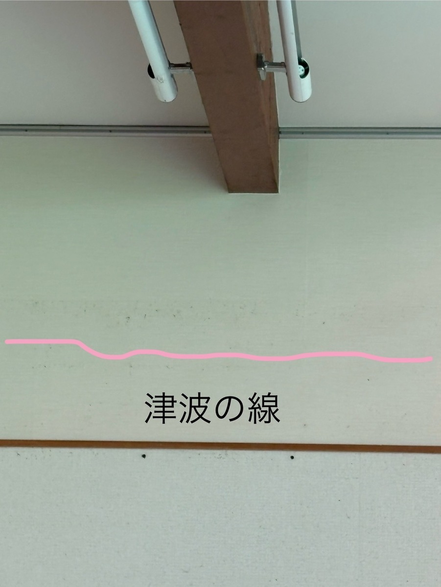tsunami_line.jpg