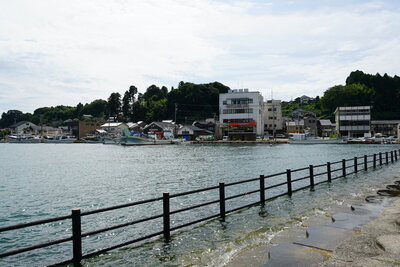 dsc00717.jpg